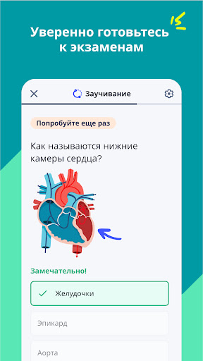 Quizlet: карточки на основе ИИ