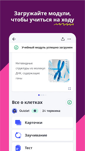 Quizlet: карточки на основе ИИ